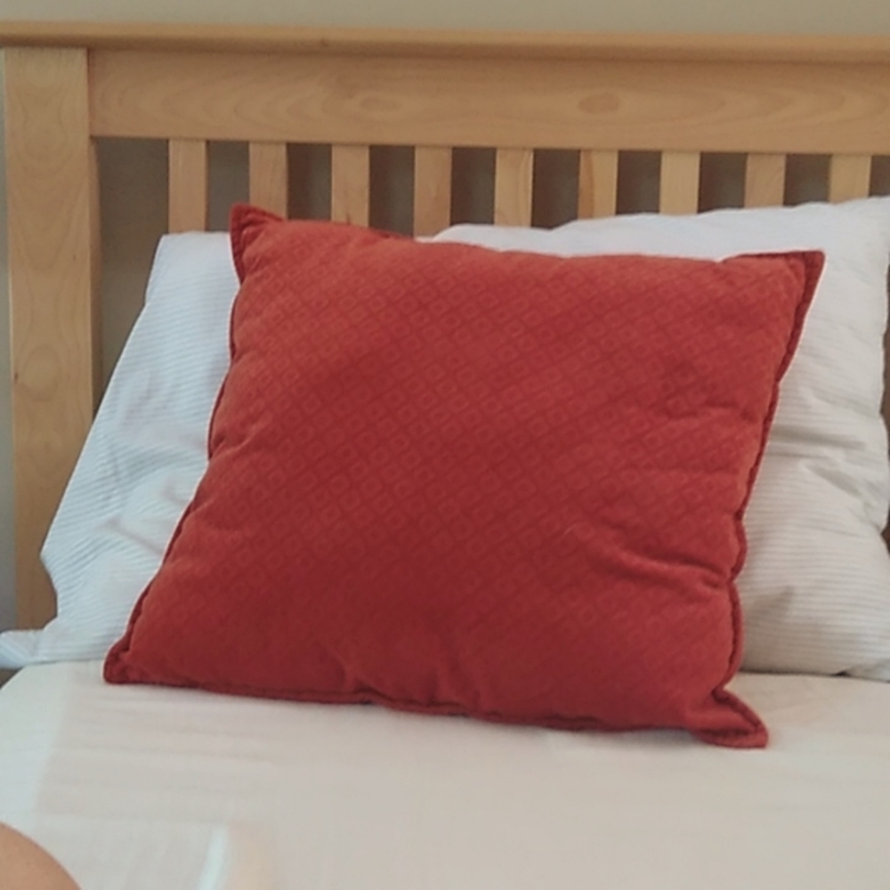 2 16x18 in lush pillows